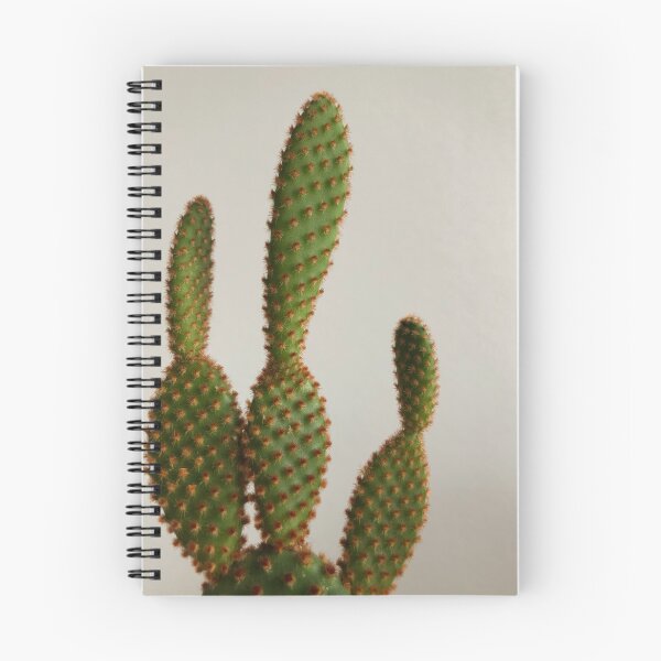 Item preview, Cactus 4 designed and sold by Curae1.
