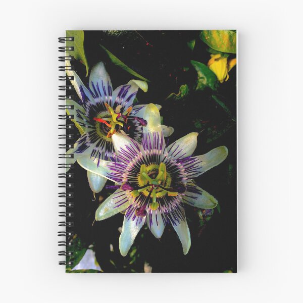 Item preview, Flor fructífera designed and sold by IBMClothing.