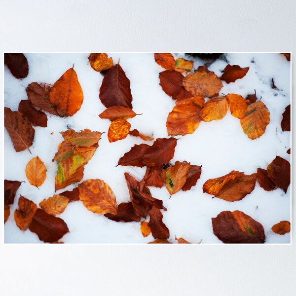 Item preview, Winter pattern designed and sold by FOTIS MAVROUDAKIS.