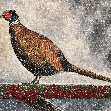 Artwork thumbnail, Pheasant in Falling Snow - Christmas Card by EuniceWilkie