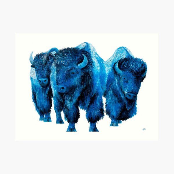 Buffalo Bills Canvas Prints for Sale