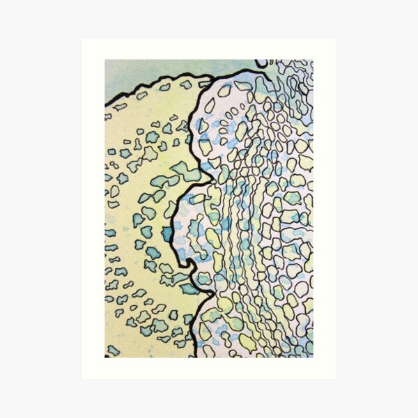 1, Inset A Art Print
