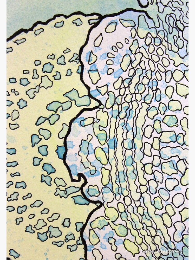 1, Inset A by KatieSchutteArt