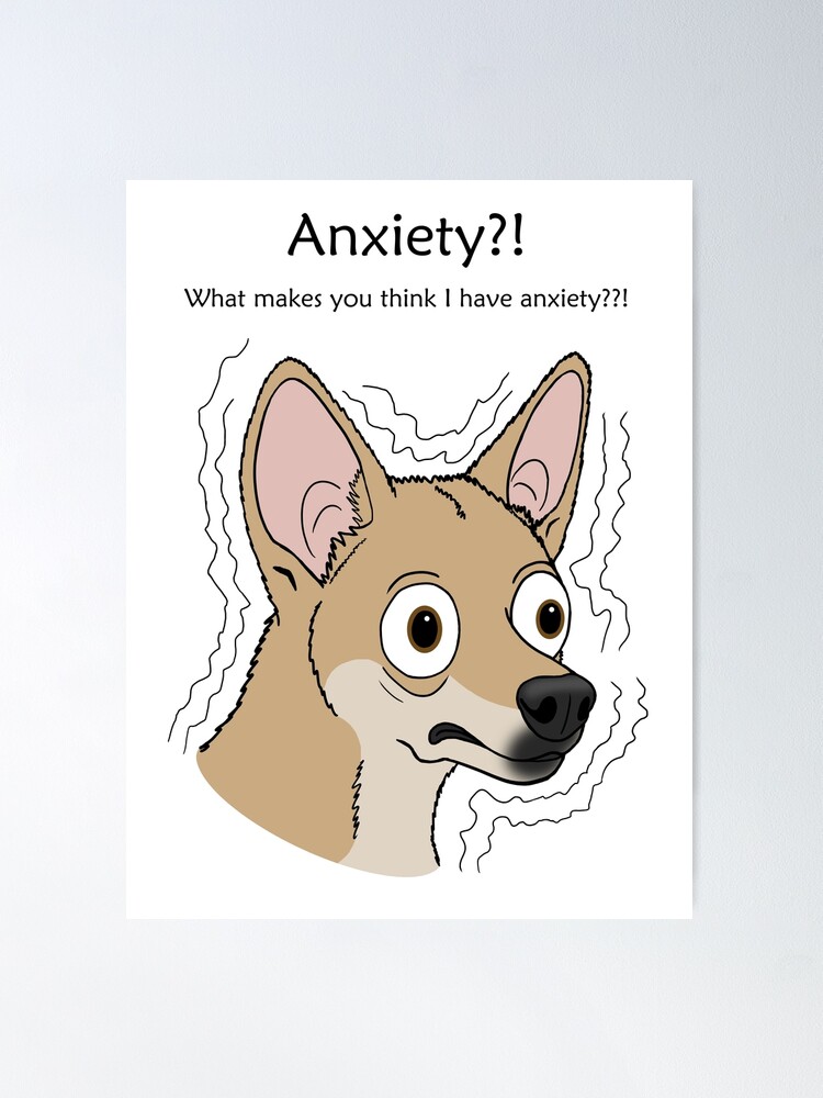 Chihuahua anxiety sales