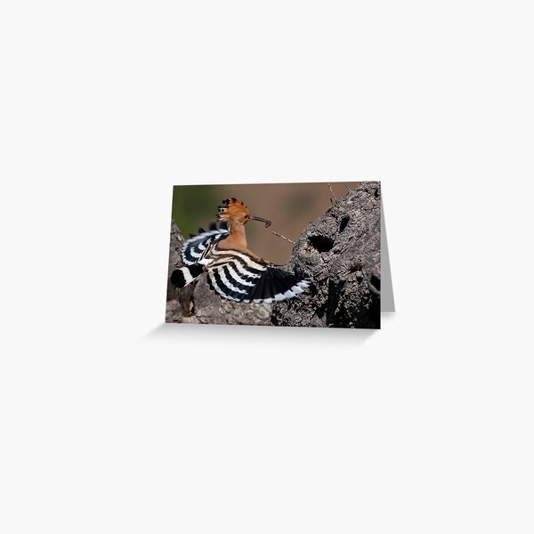 Happy Hoopoe Greeting Card