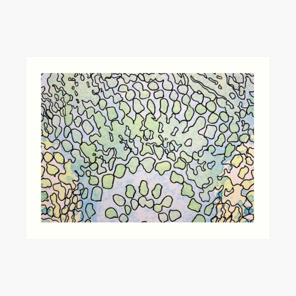 1, Inset B Art Print