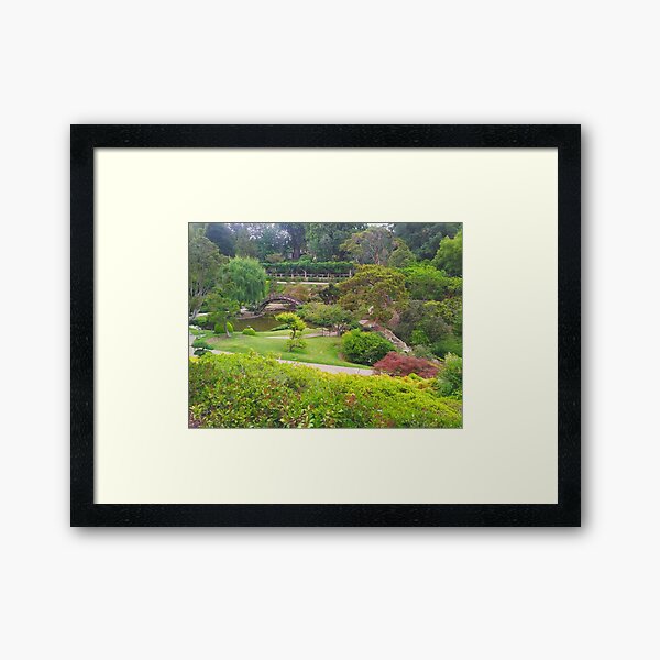The Japanese Garden Framed Art Print