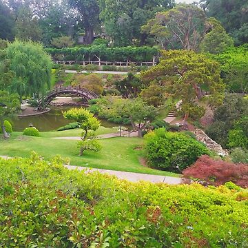 Artwork thumbnail, The Japanese Garden by TalBright
