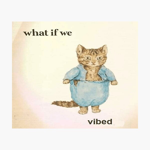 what if we vibed cat Photographic Print