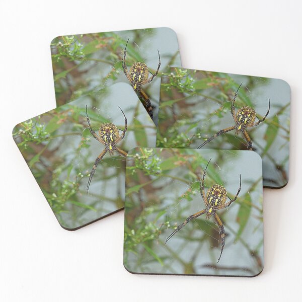 Item preview, Garden Spider in Web designed and sold by Brenda Burnett.