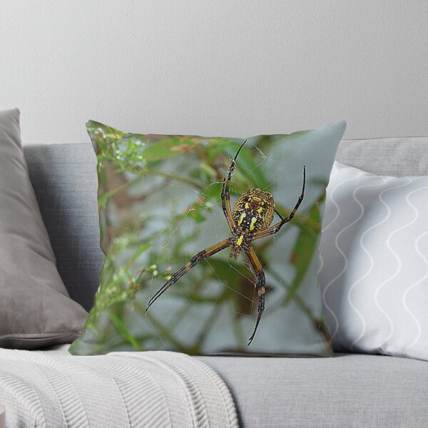 Item preview, Garden Spider in Web designed and sold by Brenda Burnett.