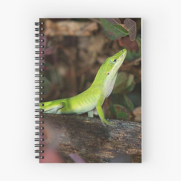 Item preview, "I Am Lizard, Hear Me Roar" designed and sold by Brenda Burnett.