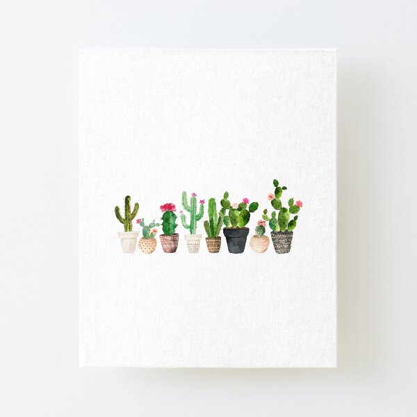 Cactus Canvas Mounted Print