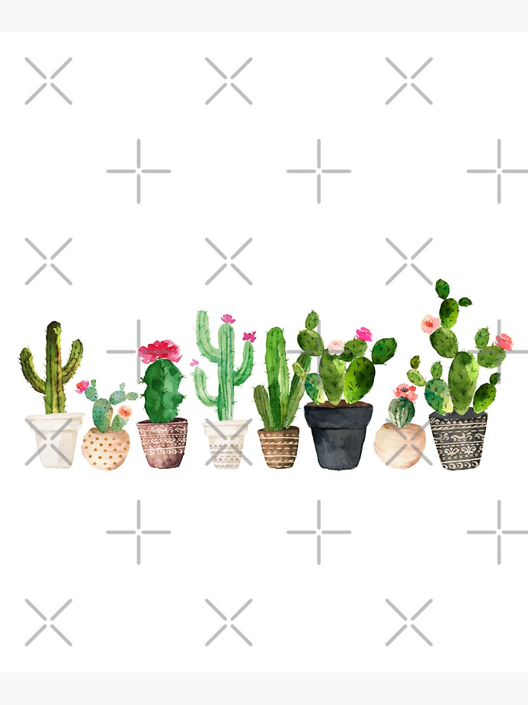 Cactus by BekkaCampbell