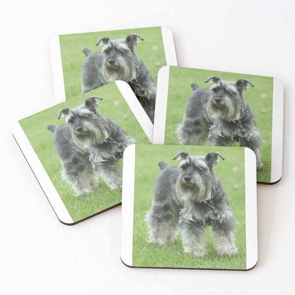 Item preview, Fritz 2 designed and sold by Jerry Tingle - photofirst.