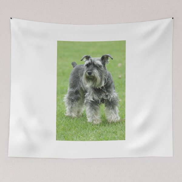 Item preview, Fritz 2 designed and sold by Jerry Tingle - photofirst.