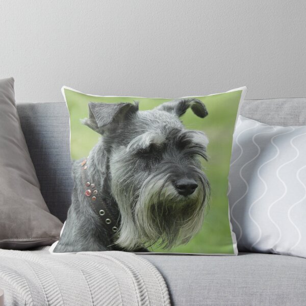 Item preview, Fritz 3 designed and sold by Jerry Tingle - photofirst.