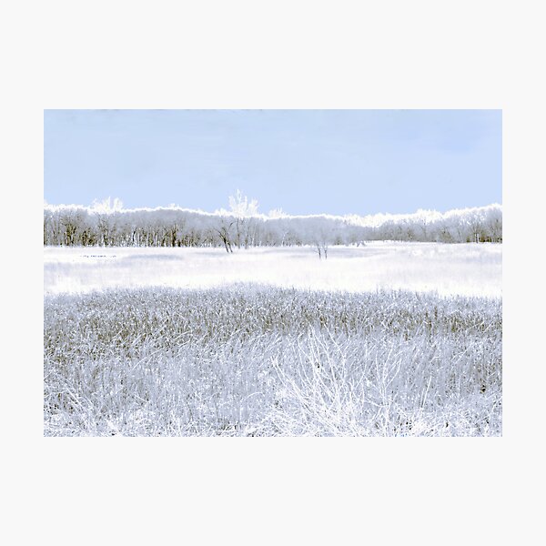 Savannah after the Blizzard Photographic Print