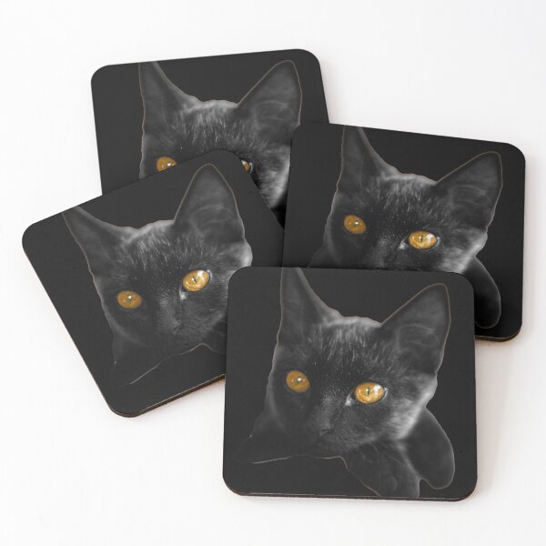 Item preview, regarchat, kitten, animal, animals, domestic, hair, furry, feline, black, white, beautiful, cute, black cat d designed and sold by ricobarinas.