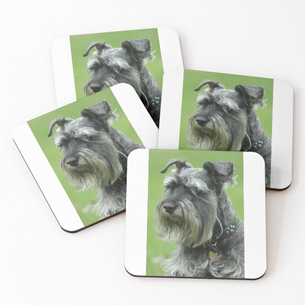 Item preview, Fritz 4 designed and sold by Jerry Tingle - photofirst.