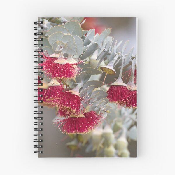 Item preview, Eucalypt Rodantha Australian Wildflower designed and sold by cschester4.