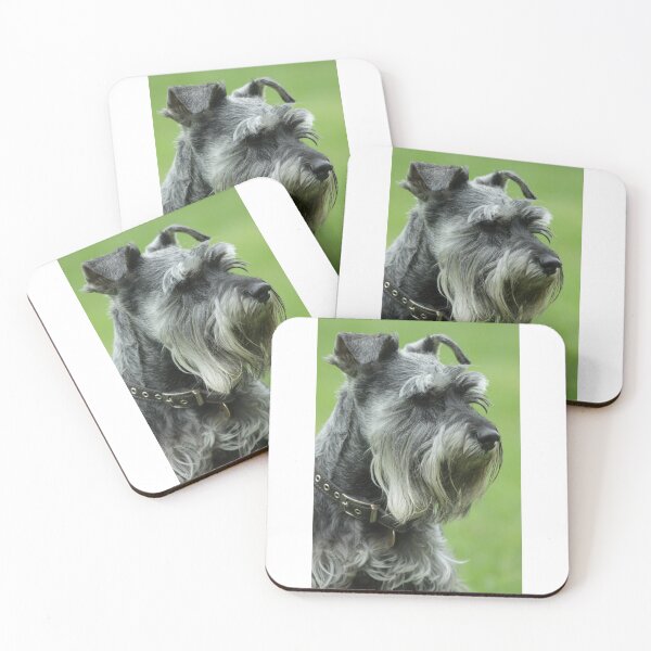 Item preview, Fritz 5 designed and sold by Jerry Tingle - photofirst.