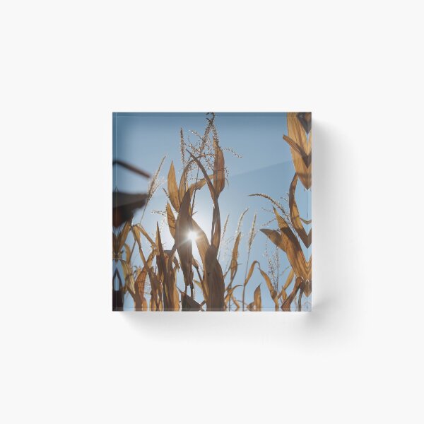 Item preview, Corn maze designed and sold by samrcard03.