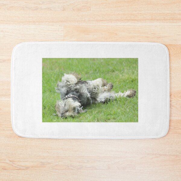 Item preview, Fritz 6 designed and sold by Jerry Tingle - photofirst.