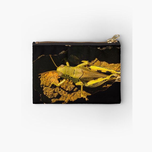 Item preview, Grasshopper in a hole designed and sold by homesteadswag.