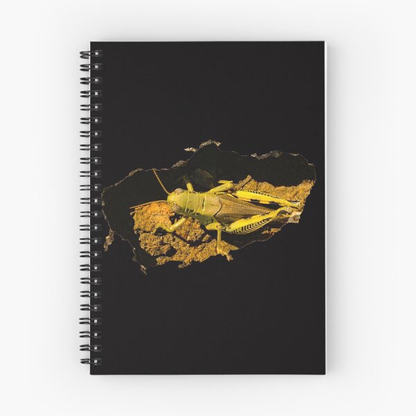 Item preview, Grasshopper in a hole designed and sold by homesteadswag.