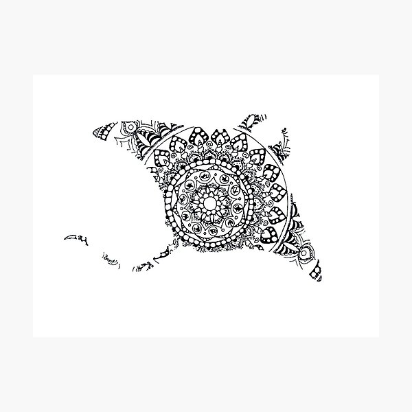 Impression Photo Requin Marteau Mandala Par Ecodream Redbubble