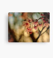 Blossoms & Light Metal Print