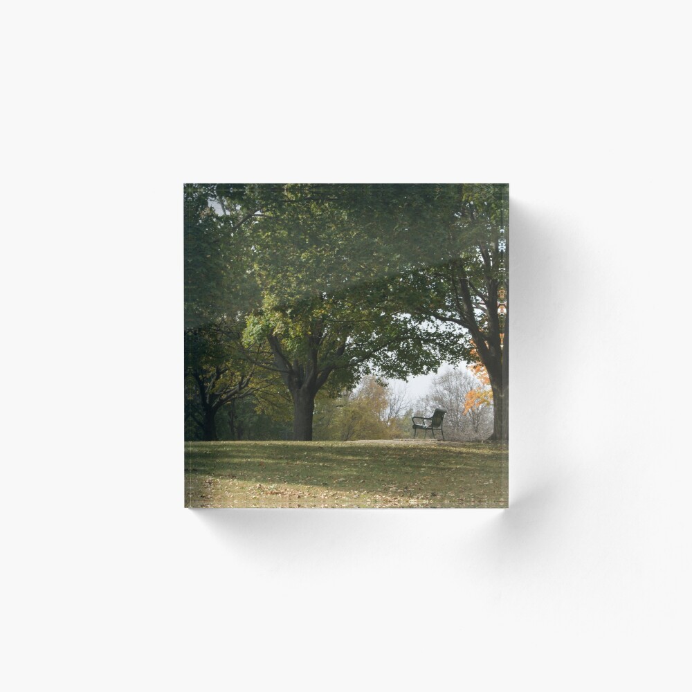Park Bench Acrylic Block