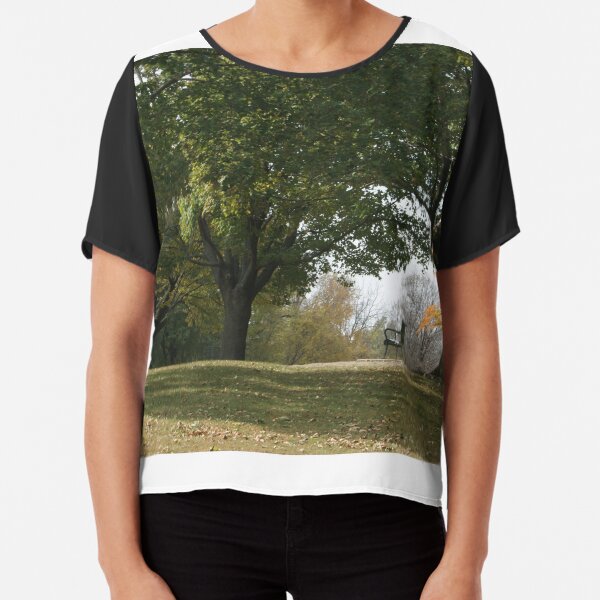 Park Bench Chiffon Top