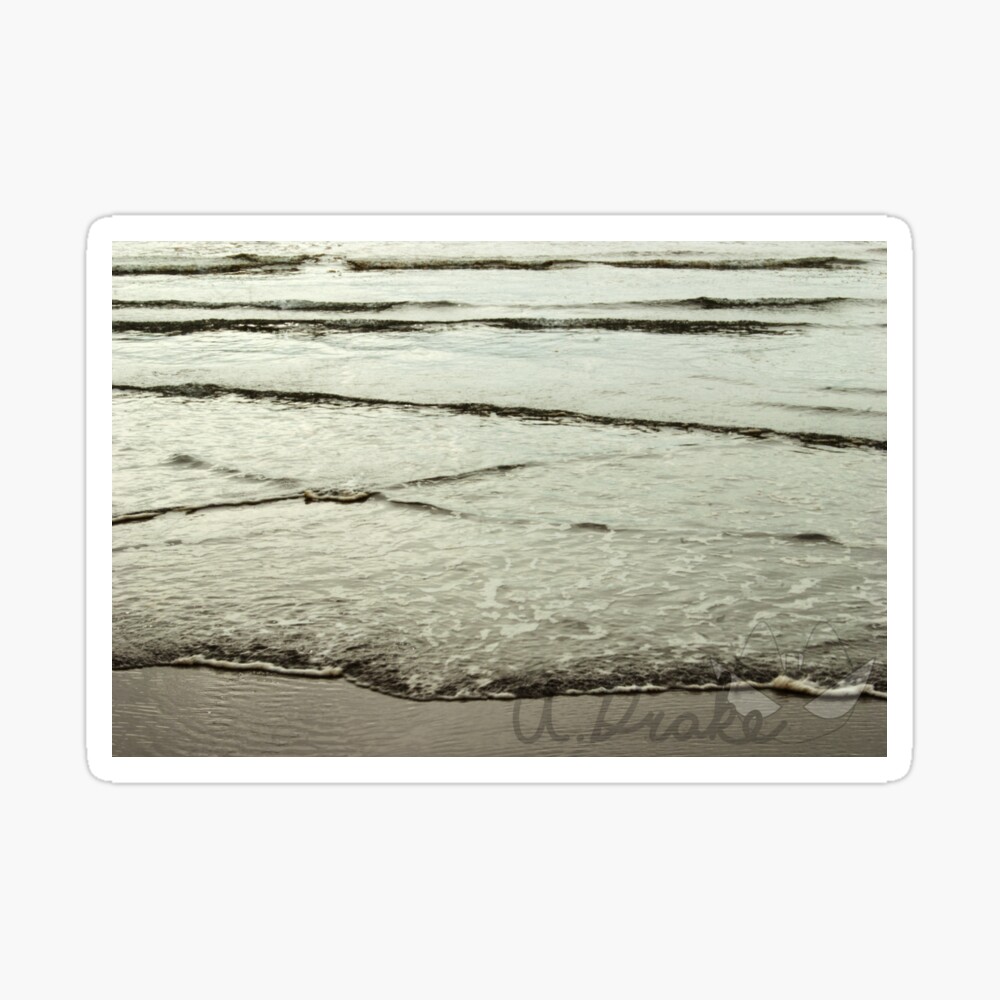 Grayland Beach Sticker