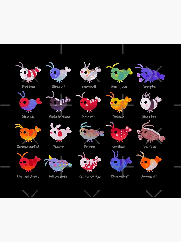 Freshwater shrimp - name by pikaole