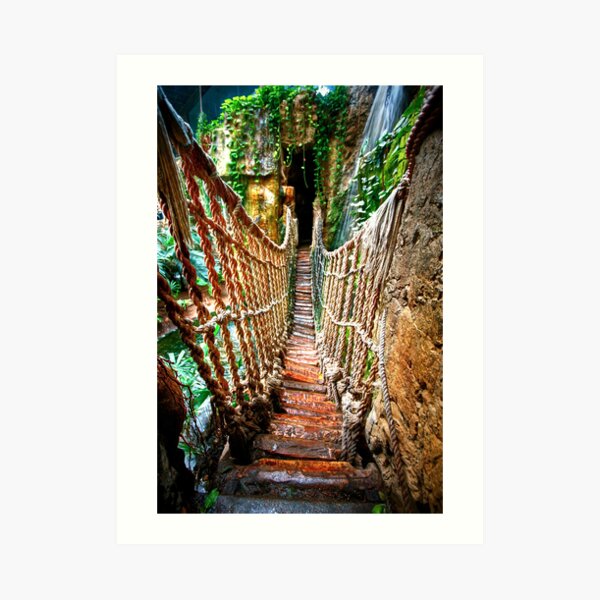 Zoo Art Print