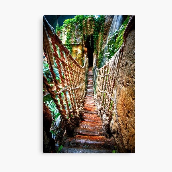 Zoo Canvas Print