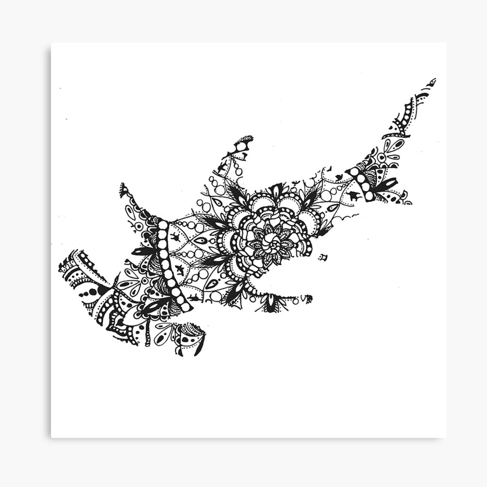 Download Impression Photo Requin Marteau Mandala Par Ecodream Redbubble