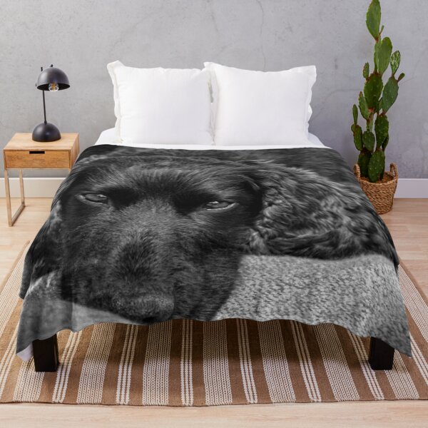 Item preview, Bob the Dog designed and sold by Andrew Kemp.