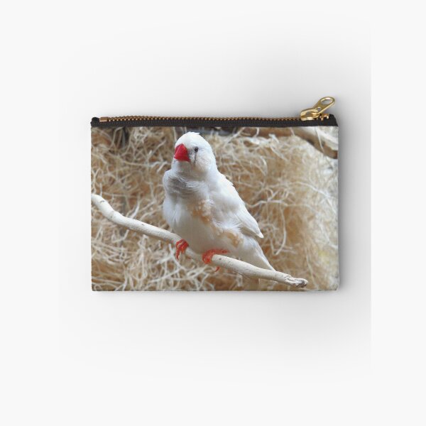 Item preview, White Finch designed and sold by Linda Walsh.