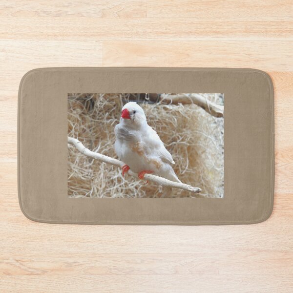 Item preview, White Finch designed and sold by Linda Walsh.