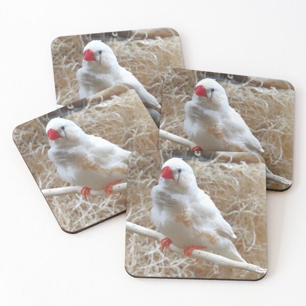 Item preview, White Finch designed and sold by Linda Walsh.