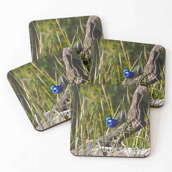 Item preview, Cute Birds A Splendid Fairy Wren Bird In Breeding Plumage designed and sold by Jason Gilbert.