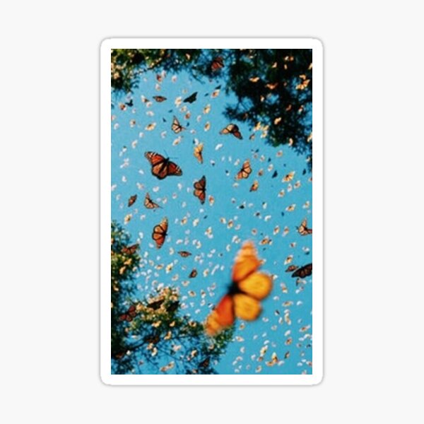 20 Butterfly Wallpaper Ideas For Your iPhone