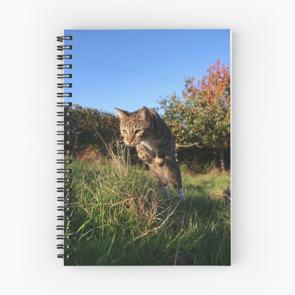 Item preview, Tabby cat hunting in field designed and sold by turniptowers.