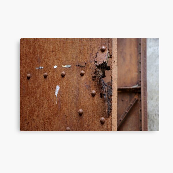 Aperçu de l'œuvre The Rusted Irony of Freedom créée et vendue par SBawtinheimer.