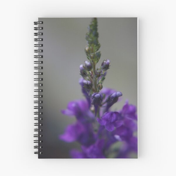 Item preview, Macro Shot of Toadflax Purple designed and sold by Alexis4019.