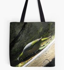 Silver-eye! Tote Bag