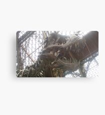 Dinosaurs Canvas Print